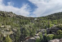 Wie Viele Länder Gibt Es? Entdecke Faszinierende Fakten Heute