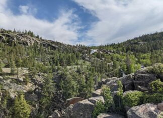 Wie Viele Länder Gibt Es? Entdecke Faszinierende Fakten Heute