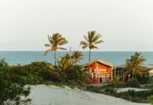 Wie Viele Geschlechter Gibt Es? Entdecke Die Vielfältigen Facetten!