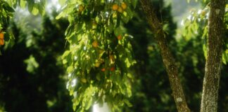 Wie Lange Leben Mücken? Entdecken Sie Ihre Lebensdauer Und Tipps!