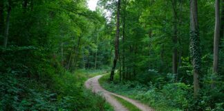 Wie Lange Dauert Ein MRT? Entdecken Sie Die Überraschenden Fakten!