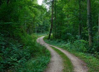 Wie Lange Dauert Ein MRT? Entdecken Sie Die Überraschenden Fakten!