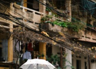 Wie Lange Blumenkohl Kochen? Entdecken Sie Perfekte Tipps!