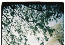 Wie Lange Dauert Eine Überweisung Von Bank Zu Bank? Wichtige Infos!