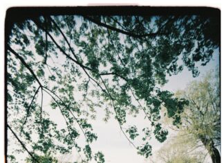 Wie Lange Dauert Eine Überweisung Von Bank Zu Bank? Wichtige Infos!