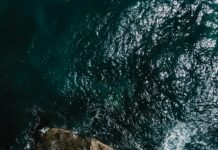 Wie Sollten Sie Sich Jetzt Verhalten? Entdecken Sie Die Strategien!