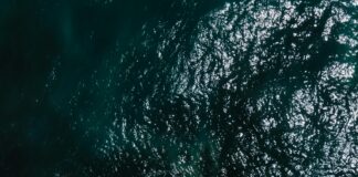 Wie Sollten Sie Sich Jetzt Verhalten? Entdecken Sie Die Strategien!