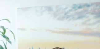 Wie Macht Man Screenshot Am PC? Entdecke Einfache Tipps!