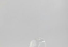 Corona Wie Lange Ansteckend: Wichtige Fakten Für Ihre Gesundheit