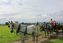 Sie Fahren Auf Dieser Autobahn: Wie Verhalten Sie Sich Richtig?