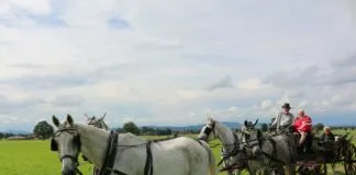 Sie Fahren Auf Dieser Autobahn: Wie Verhalten Sie Sich Richtig?