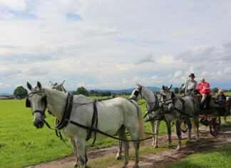Sie Fahren Auf Dieser Autobahn: Wie Verhalten Sie Sich Richtig?