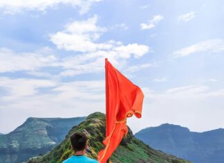 Wie Sehen Läuse Aus? Entdecken Sie Die Geheimnisse Dieser Plage!