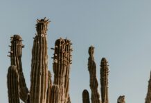 Wie Viel Kostet Der Führerschein? Entdecke Die Versteckten Kosten!