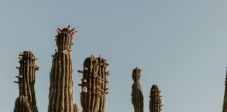 Wie Viel Kostet Der Führerschein? Entdecke Die Versteckten Kosten!