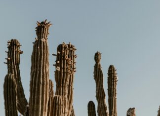 Wie Viel Kostet Der Führerschein? Entdecke Die Versteckten Kosten!