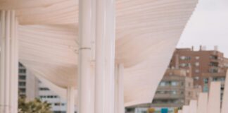 Wie Stirbt Man An Leukämie? Die Unbekannten Fakten Enthüllt!