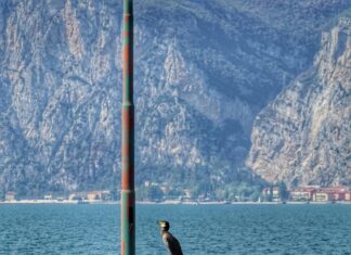 Schmerzen Wie Messerstiche Im Oberschenkel Vorne: Ursachen Und Lösungen