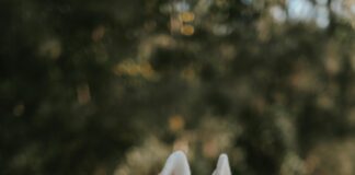 Wie Viel Gramm Zucker Am Tag Sind Optimal Für Ihre Gesundheit?