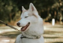 Wie Viel Magnesium Am Tag Ist Optimal Für Deine Gesundheit?