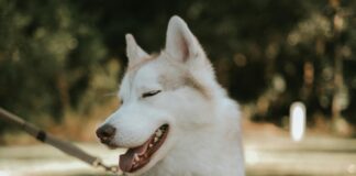 Wie Viel Magnesium Am Tag Ist Optimal Für Deine Gesundheit?