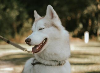 Wie Viel Magnesium Am Tag Ist Optimal Für Deine Gesundheit?