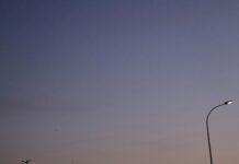 Wie Seriös Ist Campact? Enthüllen Sie Die Wahrheit Hinter Der Bewegung!