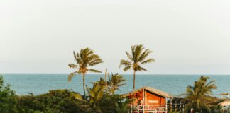 Mannheim Messerattacke: Wie Geht Es Dem Polizisten Nach Der Tat?