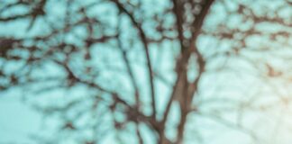 Wie Viele Wochen Hat Ein Monat? Entdecke Die Überraschenden Fakten!