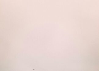 Wie Lange Ist Eine Überweisung Gültig? Wichtige Tipps Entdecken!