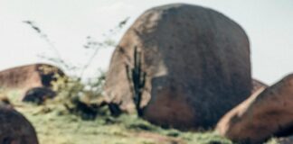 Wie Groß Ist Der Größte Mensch Der Welt: Entdecke Seine Geschichte