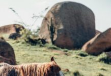 Wie Weit Ist Der Mond Von Der Erde Entfernt? Faszinierende Fakten