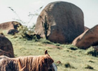Wie Weit Ist Der Mond Von Der Erde Entfernt? Faszinierende Fakten