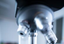 Wie Lange Ist Corona Ansteckend? Entdecken Sie Die Wahrheit!