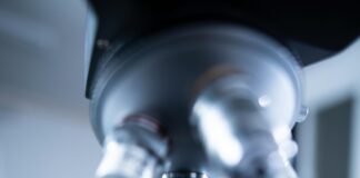 Wie Lange Ist Corona Ansteckend? Entdecken Sie Die Wahrheit!