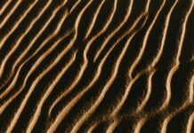 Wie Viele Ozeane Gibt Es? Entdecke Die Geheimnisse Der Meere!