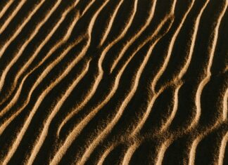 Wie Viele Ozeane Gibt Es? Entdecke Die Geheimnisse Der Meere!