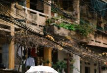 „Wie Lange Überleben Spermien? Entdecke Die Fascinierenden Fakten“