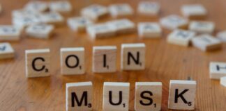 Wie Viel Geld Hat Elon Musk? Entdecken Sie Sein Vermögen!