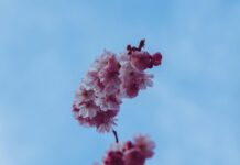 Wie Wird Der Sommer 2024? Entdecken Sie Die Wetterprognosen!