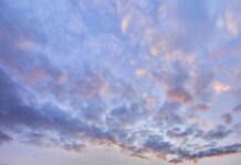 Wie Viele Türken Leben In Deutschland? Entdecke Faszinierende Fakten!