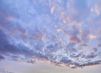Wie Viele Türken Leben In Deutschland? Entdecke Faszinierende Fakten!