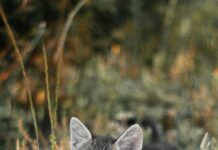 Minijob Wie Viele Stunden Sind Optimal Für Dein Einkommen?