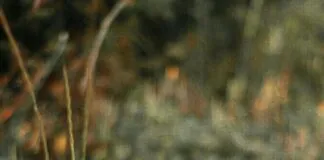 Minijob Wie Viele Stunden Sind Optimal Für Dein Einkommen?