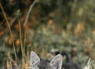 Minijob Wie Viele Stunden Sind Optimal Für Dein Einkommen?