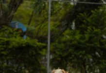 Rosenkohl Wie Lange Kochen: Perfekte Tipps Für Köstlichen Genuss