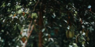 Wie Sieht Krätze Aus? Entdecken Sie Die Anzeichen Und Symptome!