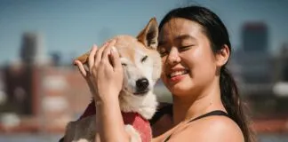 Teilzeit Wie Viele Stunden Sind Optimal Für Ihr Arbeitsleben?