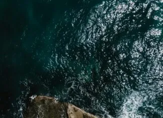 Sie Möchten Geradeaus Weiterfahren: Wie Verhalten Sie Sich Richtig?