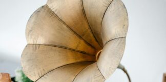 Impfung Tetanus Wie Oft: Alles Was Sie Wissen Müssen